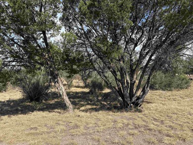 This level and mostly cleared lot offers a serene setting on Slick Rock Golf Course - Horseshoe Bay in Texas - for sale on GolfHomes.com, golf home, golf lot