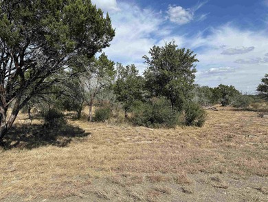 This level and mostly cleared lot offers a serene setting on Slick Rock Golf Course - Horseshoe Bay in Texas - for sale on GolfHomes.com, golf home, golf lot