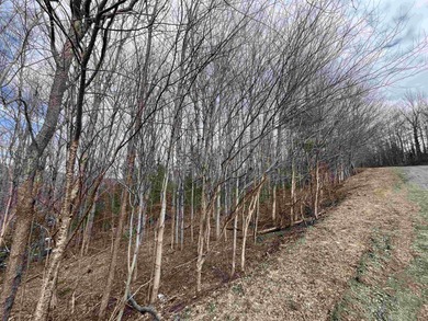 A Wonderful Location Location Location!  Located in middle of on Mount Snow Golf Club in Vermont - for sale on GolfHomes.com, golf home, golf lot