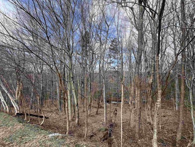 A Wonderful Location Location Location!  Located in middle of on Mount Snow Golf Club in Vermont - for sale on GolfHomes.com, golf home, golf lot