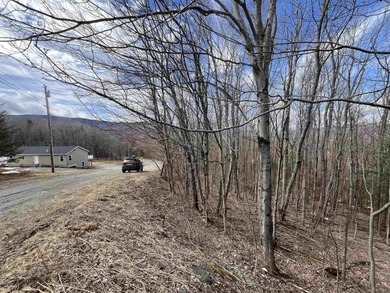 A Wonderful Location Location Location!  Located in middle of on Mount Snow Golf Club in Vermont - for sale on GolfHomes.com, golf home, golf lot