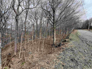 A Wonderful Location Location Location!  Located in middle of on Mount Snow Golf Club in Vermont - for sale on GolfHomes.com, golf home, golf lot