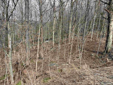 A Wonderful Location Location Location!  Located in middle of on Mount Snow Golf Club in Vermont - for sale on GolfHomes.com, golf home, golf lot