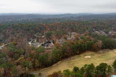 This stunning all-brick executive home sits on a private 1 on Riverchase Country Club in Alabama - for sale on GolfHomes.com, golf home, golf lot