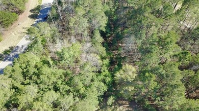 Discover the perfect canvas for your dream home on this on The Frog Golf Club in Georgia - for sale on GolfHomes.com, golf home, golf lot