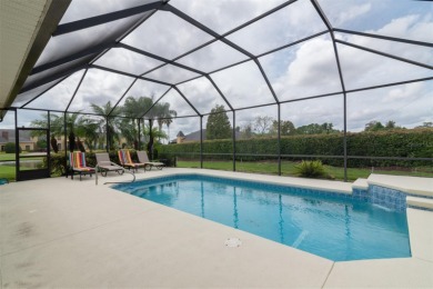 REDUCED PRICE & MOTIVATED SELLER ON POOL HOME with waterfall on Lake Ashton Golf Club in Florida - for sale on GolfHomes.com, golf home, golf lot