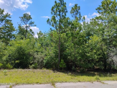 One of 3 available adjacent lots  in the beautiful community of on Sunny Hills Golf and Country Club in Florida - for sale on GolfHomes.com, golf home, golf lot