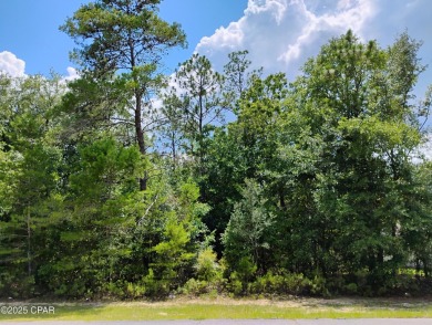 Vacant Lot in Sunny Hills - Build Your Dream Home Today! Take on Sunny Hills Golf and Country Club in Florida - for sale on GolfHomes.com, golf home, golf lot