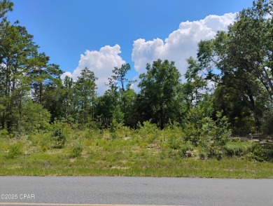 Cleared and surveyed lot in desired location of Sunny Hills! on Sunny Hills Golf and Country Club in Florida - for sale on GolfHomes.com, golf home, golf lot