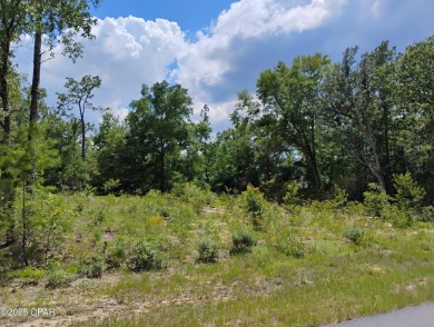 Cleared and surveyed lot in desired location of Sunny Hills! on Sunny Hills Golf and Country Club in Florida - for sale on GolfHomes.com, golf home, golf lot