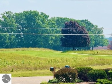 Discover 2,200 sq. ft. of luxurious, single-level living in this on Pine River Country Club in Michigan - for sale on GolfHomes.com, golf home, golf lot