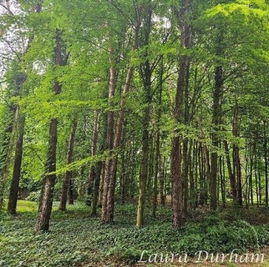 Beautiful Scenic Building Site -- Just Minutes from Downtown on Clearbrook Golf Club in Michigan - for sale on GolfHomes.com, golf home, golf lot
