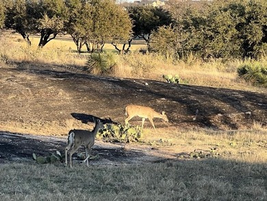 This exceptional large, flat corner lot sits in the prestigious on Escondido Golf and Lake Club  in Texas - for sale on GolfHomes.com, golf home, golf lot