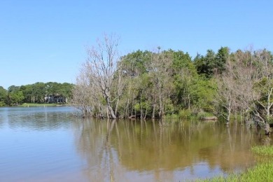 THIS IS THE VERY BEST COUNTY CLUB IN TEXAS for the money. Let me on Hilltop Lakes Resort Golf Club in Texas - for sale on GolfHomes.com, golf home, golf lot