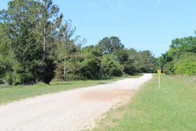 THIS IS THE VERY BEST COUNTY CLUB IN TEXAS for the money. Let me on Hilltop Lakes Resort Golf Club in Texas - for sale on GolfHomes.com, golf home, golf lot