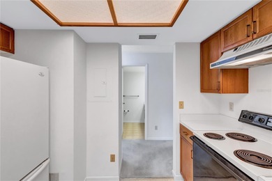 Located in the desirable gated community of Hammock Pine Village on Countryside Country Club in Florida - for sale on GolfHomes.com, golf home, golf lot