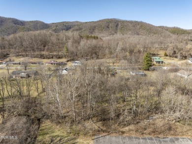 Explore this captivating lot along Buffalo Creek, an ideal site on Buffalo Valley Golf Course in Tennessee - for sale on GolfHomes.com, golf home, golf lot