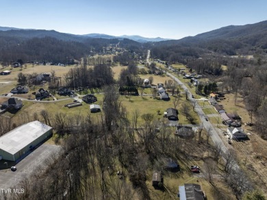 Explore this captivating lot along Buffalo Creek, an ideal site on Buffalo Valley Golf Course in Tennessee - for sale on GolfHomes.com, golf home, golf lot