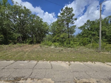 Discover the best deal in Sunny Hills with this oversized 0 on Sunny Hills Golf and Country Club in Florida - for sale on GolfHomes.com, golf home, golf lot