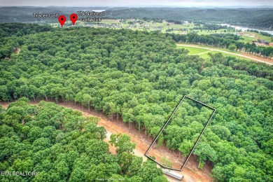 Build your DREAM HOME in the Ridgetop Retreat section of the on Tennessee National Golf Club in Tennessee - for sale on GolfHomes.com, golf home, golf lot