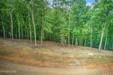 Build your DREAM HOME in the Ridgetop Retreat section of the on Tennessee National Golf Club in Tennessee - for sale on GolfHomes.com, golf home, golf lot