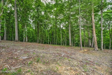 Build your DREAM HOME in the Ridgetop Retreat section of the on Tennessee National Golf Club in Tennessee - for sale on GolfHomes.com, golf home, golf lot