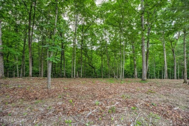Build your DREAM HOME in the Ridgetop Retreat section of the on Tennessee National Golf Club in Tennessee - for sale on GolfHomes.com, golf home, golf lot