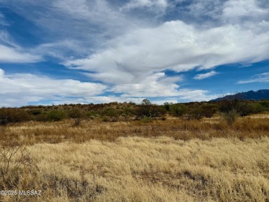 Discover an incredible opportunity to build your dream home on on Quail Creek Country Club  in Arizona - for sale on GolfHomes.com, golf home, golf lot