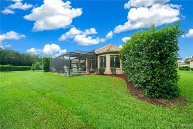 This 3+ bedroom 3.5 bath home is located in the first-class on Skyview At Terra Vista Golf and Country Club in Florida - for sale on GolfHomes.com, golf home, golf lot
