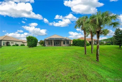 This 3+ bedroom 3.5 bath home is located in the first-class on Skyview At Terra Vista Golf and Country Club in Florida - for sale on GolfHomes.com, golf home, golf lot