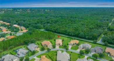 ***Sale price is subject to short sale approval*** This 3+ on Skyview At Terra Vista Golf and Country Club in Florida - for sale on GolfHomes.com, golf home, golf lot