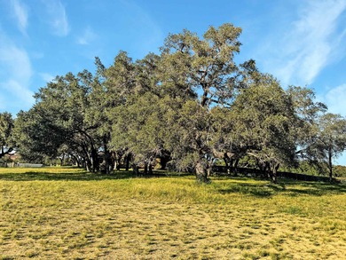 Lot 25700 Cliff Circle in Spicewood is one of the few on Lakecliff Golf Course in Texas - for sale on GolfHomes.com, golf home, golf lot