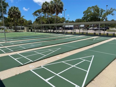 55+ GOLF COURSE community. Live every day like you are on on Summertree Golf Course in Florida - for sale on GolfHomes.com, golf home, golf lot