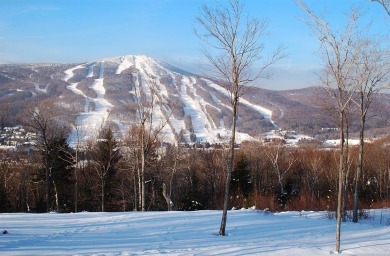 Enjoy four-season living in this inviting 2-bedroom, 1.5-bath on Hermitage Club Golf Course in Vermont - for sale on GolfHomes.com, golf home, golf lot