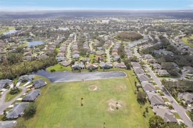 This charming Sun City Center home offers the perfect blend of on Falcon Watch Golf Club in Florida - for sale on GolfHomes.com, golf home, golf lot