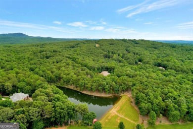 1.63 Acre Lake Frontage and Golf Course Frontage Lot with Lake on The Orchard Golf and Country Club in Georgia - for sale on GolfHomes.com, golf home, golf lot