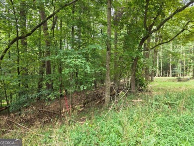 Build-Ready Estate Lot in Buckhorn - Nearly 1 Acre with Driveway on White Path Golf Club in Georgia - for sale on GolfHomes.com, golf home, golf lot