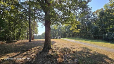 Golf Course Home! Home sits on 2 lots, has a 2 car garage on Indian Hills Country Club in Arkansas - for sale on GolfHomes.com, golf home, golf lot
