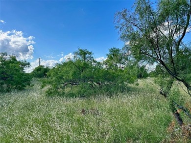 526 Beacon Circle, The Hideout Golf Club  Resort, Lake Brownwood on Hideout Golf Club and Resort  in Texas - for sale on GolfHomes.com, golf home, golf lot