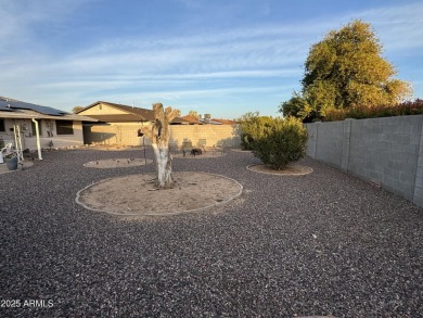 Welcome home to your amazing slice of heaven in the heart of Sun on Sun City Lakes West and East in Arizona - for sale on GolfHomes.com, golf home, golf lot