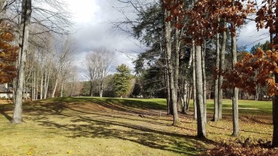 Well maintained..Well Built 3 bedroom 3 1/2 bath home on the 5th on Michaywe Pines Course in Michigan - for sale on GolfHomes.com, golf home, golf lot