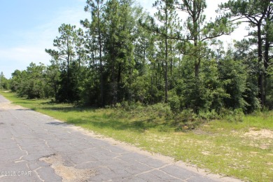 🌞 Build Your Dream Retreat in Sunny Hills!Discover the on Sunny Hills Golf and Country Club in Florida - for sale on GolfHomes.com, golf home, golf lot