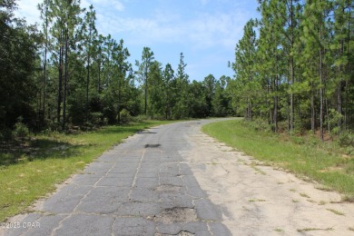 🌞 Build Your Dream Retreat in Sunny Hills!Discover the on Sunny Hills Golf and Country Club in Florida - for sale on GolfHomes.com, golf home, golf lot