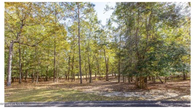 Nestled on the picturesque golf course in the prestigious Rivers on Rivers Edge Golf Club in North Carolina - for sale on GolfHomes.com, golf home, golf lot