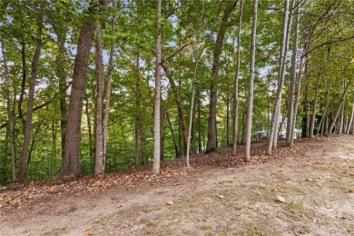 Discover an exceptional lakeside opportunity on the serene on Chestatee Golf Club in Georgia - for sale on GolfHomes.com, golf home, golf lot