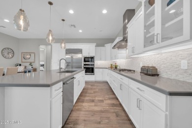 WELCOME TO THIS BEAUTIFUL CONTEMPORARY CORDOBA MODEL HOME AT on Vista Verde Golf Course in Arizona - for sale on GolfHomes.com, golf home, golf lot