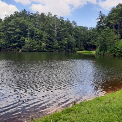 Build-Ready Estate Lot in Buckhorn - Nearly 1 Acre with Driveway on White Path Golf Club in Georgia - for sale on GolfHomes.com, golf home, golf lot