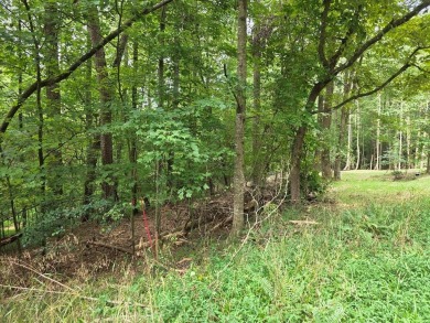 Build-Ready Estate Lot in Buckhorn - Nearly 1 Acre with Driveway on White Path Golf Club in Georgia - for sale on GolfHomes.com, golf home, golf lot