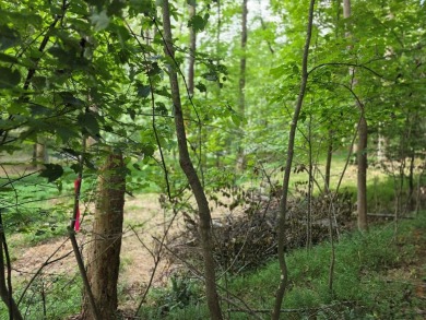 Build-Ready Estate Lot in Buckhorn - Nearly 1 Acre with Driveway on White Path Golf Club in Georgia - for sale on GolfHomes.com, golf home, golf lot