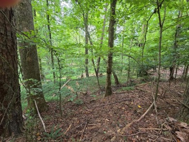 Build-Ready Estate Lot in Buckhorn - Nearly 1 Acre with Driveway on White Path Golf Club in Georgia - for sale on GolfHomes.com, golf home, golf lot